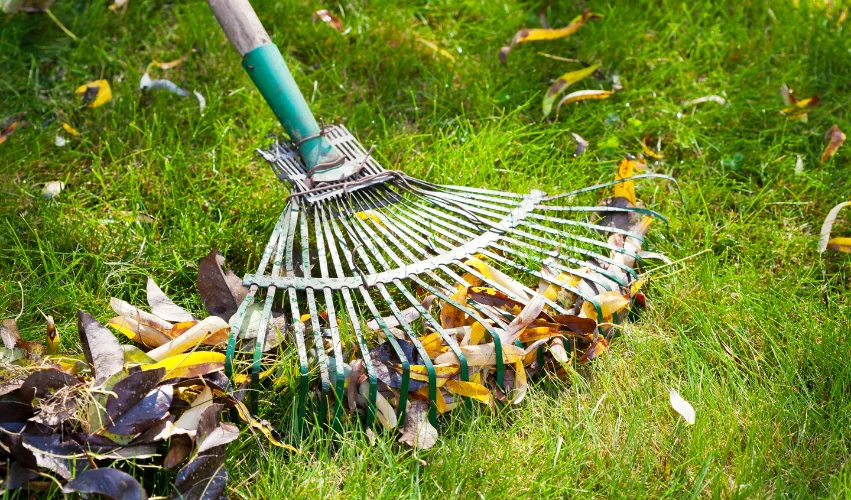 Horticulture Services