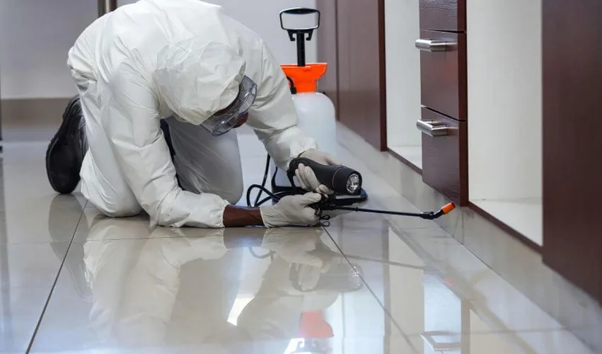 Pest Control Services